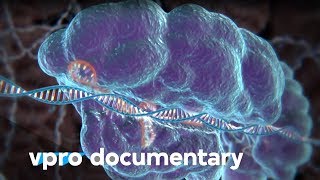 Hack your DNA with CRISPR  VPRO documentary  2018 [upl. by Janot]