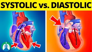 AS Biology  Mammalian heart structure OCR A Chapter 85 [upl. by Quillon]