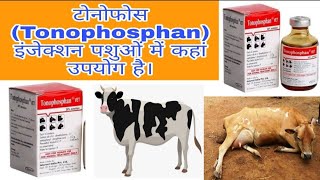 Tonophosphan Injection uses टोनोफोस इंजेक्शन पशुओं में कहां उपयोग किया जाता है vet all info [upl. by Anairb]