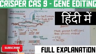 Crisprcas9  Genome editing  In hindi and english [upl. by Jd814]