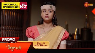 Ardhangi  Promo  05 August 2024  Telugu Serial  Gemini TV [upl. by Aramaj]