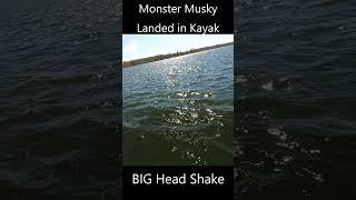 Monster Musky Head Shake Next to Kayak [upl. by Marijn71]