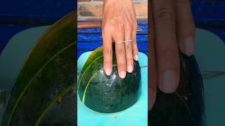 Watermelon chopping style fruit cuttingskills satisfying asmr viralvideo trending shorts [upl. by Fitts]