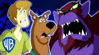 ScoobyDoo  How To Catch El Chupacabra  WB Kids [upl. by Zaneski]