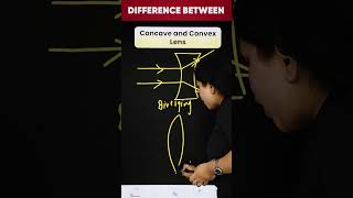 Difference Between Concave Lens and Convex Lens science shorts magnetbrains [upl. by Ranilopa]