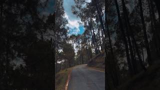 Dhoonde Akhiyan👀shorts youtubeshorts nature explore song viralshort viral💖🌿 [upl. by Leahcimnaj]