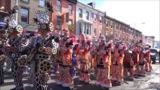 2015 Philadelphia Mummers Mardi Gras Manayunk PA 22815 [upl. by Voletta]