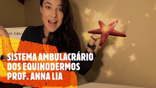 SEGUNDO ANO  SISTEMA AMBULACRÁRIO DOS EQUINODERMOS  PROF ANNA LIA [upl. by Atekal]