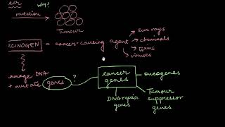 Carcinogens  Human Health and Disease  Biology  Khan Academy [upl. by Oilerua]