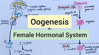 Physiology Before Pregnancy  Female Hormones [upl. by Dwyer507]