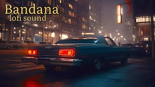 Bandana lofi song official music [upl. by Oona50]