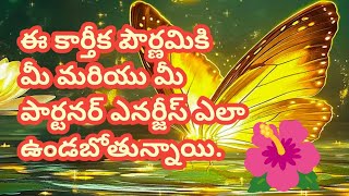 💯❤️ఈ కార్తీక పౌర్ణమికి మీ మరియు మీ పార్టనర్ ఎనర్జీస్ ఎలా వున్నాయితెలుసుకోండి [upl. by Hceicjow833]