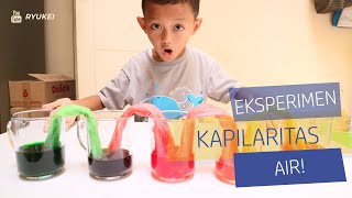 Eksperimen Sains anak kapilaritas air dan penjelasannya [upl. by Alansen]