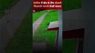 देवरिया में छात्राओं से छेड़खानी का वीडियो आया सामने  VNation News [upl. by Ahsienauq]