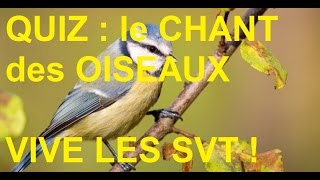 Les chants doiseaux  Zénith FM vivelesSVTcom [upl. by Urbannal792]