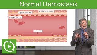 Normal Hemostasis  Cellular Pathology [upl. by Eglanteen]