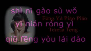 Feng Ye Piao Piao Karaoke [upl. by Weinshienk]