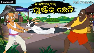 ChhadaKhaire Plastic Chheli Chhadakhai  Plastic goat  Goat Comedy Odia Gapa Funny goat [upl. by Ravid]