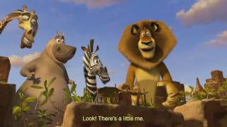 Madagascar 3 happy birthday part [upl. by Germayne]