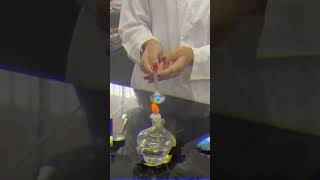 Experimentando con elementos orgánicos e inorgánicos en una clase de Química 🧪🥼química experimento [upl. by Sirovaj]