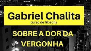 Curso de Filosofia  Sobre a dor da vergonha  Gabriel Chalita [upl. by O'Malley]