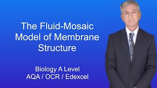 A Level Biology Revision quotThe FluidMosaic Model of Membrane Structurequot [upl. by Eileme]