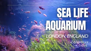 Sea Life Aquarium  London  England  Things To Do In London  Travel Vlog [upl. by Duky642]