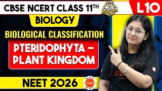 Pteridophyte Plant Kingdom One Shot  Biological Classification Class 11 Biology  CBSE [upl. by Esertak]