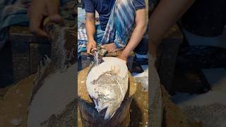 Amazing Tripletail Fish Cutting Skills In Bangladesh Fish Market By Expert Cutter shorts [upl. by Eilrebma]