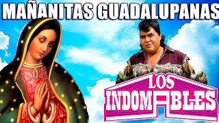 Mañanitas y Cantos Guadalupanos  20 Exitos a La Virgen De Guadalupe Con Los Indomables [upl. by Erdnad]