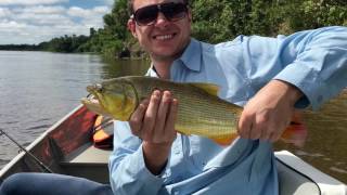 Fishing the Pantanal Brazil [upl. by Otrepur]