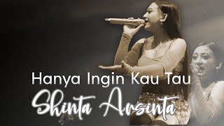 Hanya Ingin Kau Tau  SHINTA ARSINTA [upl. by Adrial]