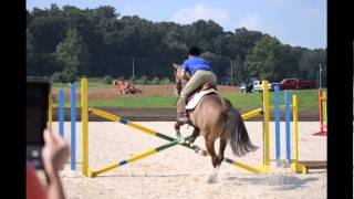 George Morris Clinic August 2013 [upl. by Quint]