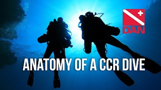 RF30  Anatomy of a CCR Dive [upl. by Katerine]