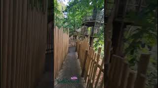 BeWILDerwood Adventure Park POV shorts theobeanie [upl. by Irik]