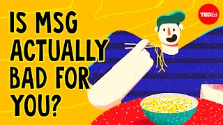 What is MSG and is it actually bad for you  Sarah E Tracy [upl. by Prudence]