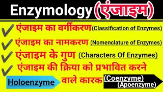 एंजाइमEnzymology एंजाइम के गुण नामकरण वर्गीकरण खोज कारकHoloenzyme Apoenzyme Coenzyme And Cofactor [upl. by Rangel]