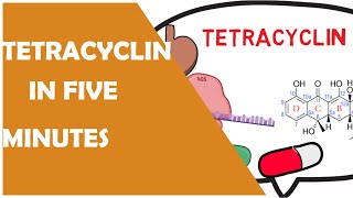 TETRACYCLINES PHARMACOLOGY IN 5 MINUTES 🔥 ANIMATED🔥MECHANISM OF ACTION [upl. by Dunaville]