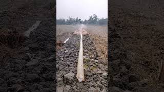 Deep Irrigation method of farming Sundarban [upl. by Shaw956]