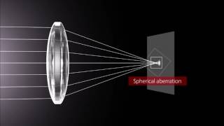 How Lenses Function [upl. by Hibbitts]