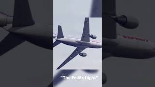 W pilots 🗿aviation avgeek vasp fedex emergencylanding [upl. by Saltsman]