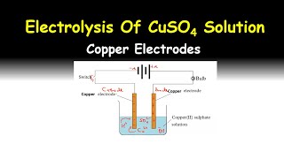 Electrolysis Of Copperii Sulphate Using Copper Electrodes [upl. by Aniroc]