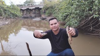 MESMO COM O IGARAPÉ SECO DEU DE GARANTIR O FRITO🎣🎣EltoneAline [upl. by Zellner]