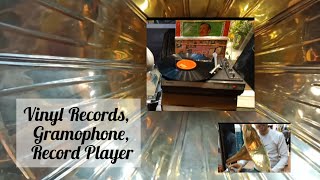 How A Gramophone turntable Works  3D Animated Explainer [upl. by Eniawed]