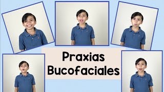 Praxias Bucofaciales  Lenguaje oral [upl. by Jess]