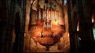 Bach  Orgelbüchlein complete  René Saorgin [upl. by Love]