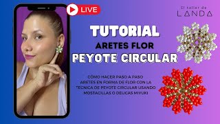 Envivo con Landa Nro 7  Aretes peyote circular [upl. by Jacquetta]