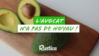 Avocat  noyau ou pépin [upl. by Bunnie68]