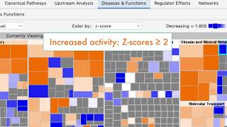 Examining Diseases amp Functions Analysis results in QIAGEN Ingenuity Pathway Analysis video tutorial [upl. by Atiniuq]