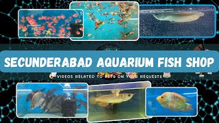 SECUNDERABAD FISH SHOP  Aquarium Fish Shop  telugu [upl. by Renmus285]